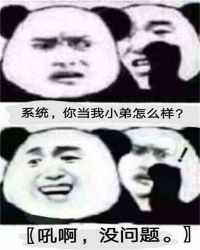 ����ϵͳС���ݺ����汦��