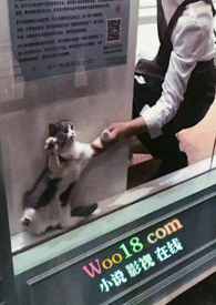 �����1V1��