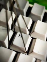 ������ѧ