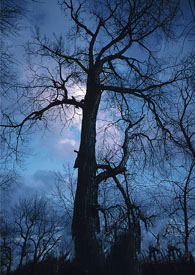 �Ҵ�Խ�������������ý���Ʒ���������һ�٩�