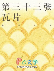 ����ʮ������Ƭ